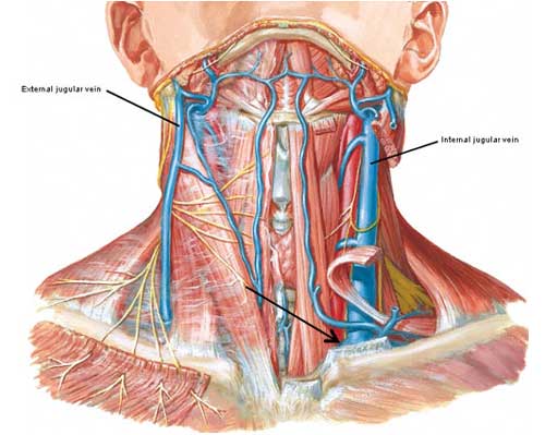 tumblr_inline_nj63utBL1v1t1jx1j